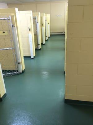 Seamless Waterproof Flooring Installations for animal facilities