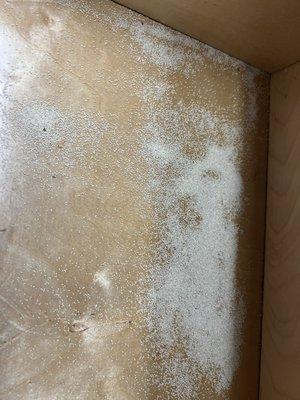 termite droppings in kitchen drawer the day i moved in