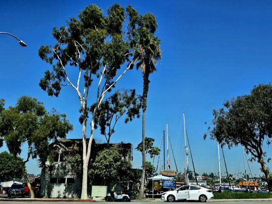 Book your time during the beautiful clear sky at the City of Newport Beach