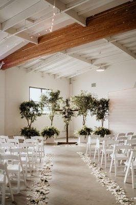 Trees, ferns, and white planters from San Diego Interior Foliage