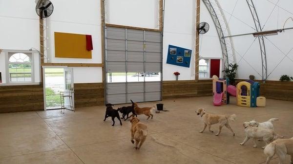 Countryside Pet Resort and Spa