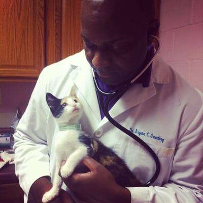 Dr.Gooding with a newly adopted kitten!