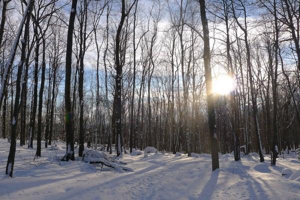 Rib Mountain State Park