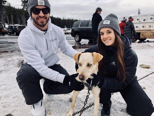 Mt. Bachelor - Sled Dog Rides