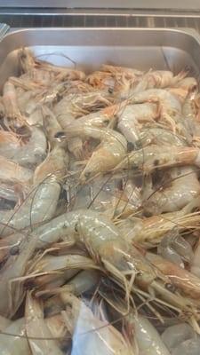 16/18 count head on shrimp