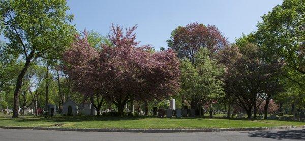 Evergreen Cemetery Hillside NJ - Gate