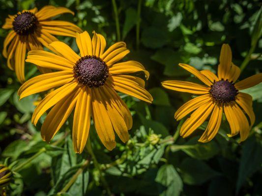 Take time to smell the flowers, and taste the wine.