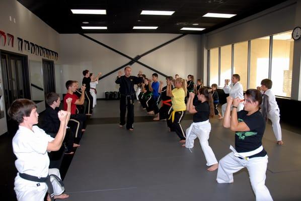 Premier Martial Arts League City