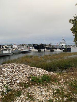 Some of the oyster bed management fleet