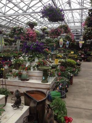 New constructed greenhouses.