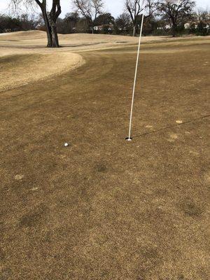 My partners tee shot on a par 3!