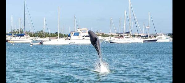 Space Coast Yacht Charters