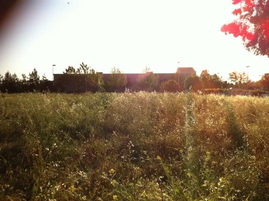 Fields between The Summertrace Resort and Austin Avenue - Merced, CA