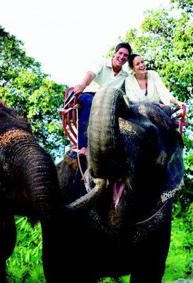 Elephant Riding in Thailand