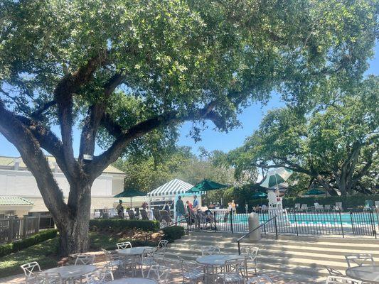 Oaks provide the perfect canopy over this gorgeous pool