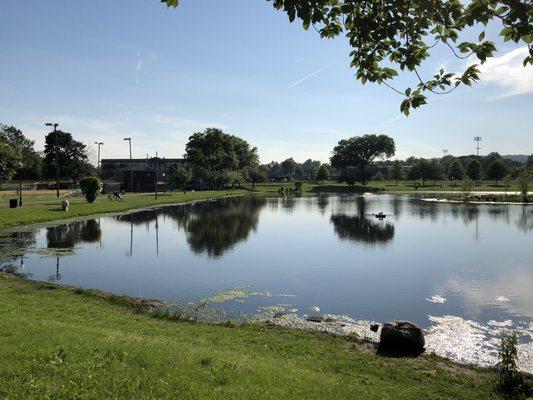 View of the pond at the middle of the lake, past it is Christopher Columbus Middle School and Clifton Stadium. (5/30/2018)