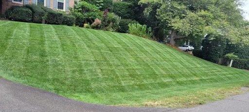 A cut lawn is great lawn. Call us at (703) 671-9574 to schedule your FREE ESTIMATE today!