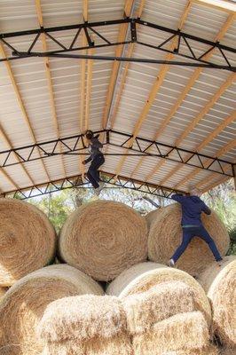 hay bales on the farm