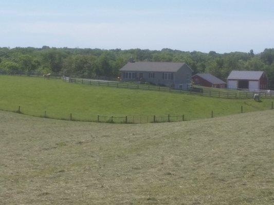 Hay making time, we feed quality hay.  We make some and buy some.