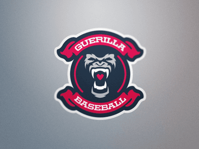 Guerilla Baseball Academy