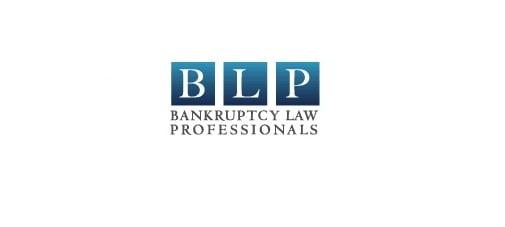 Bankruptcy Law Professionals