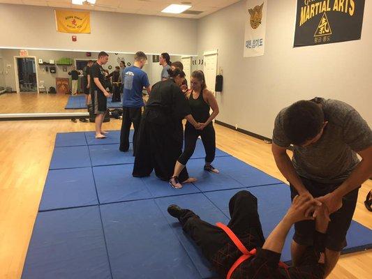 Martial Arts-Hapkido