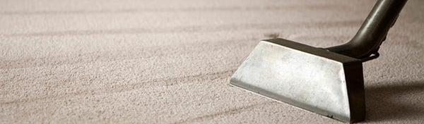 Boise Carpet Cleaning Meridian Carpet Cleaning Nampa Carpet Cleaning Idaho Carpet Cleaning