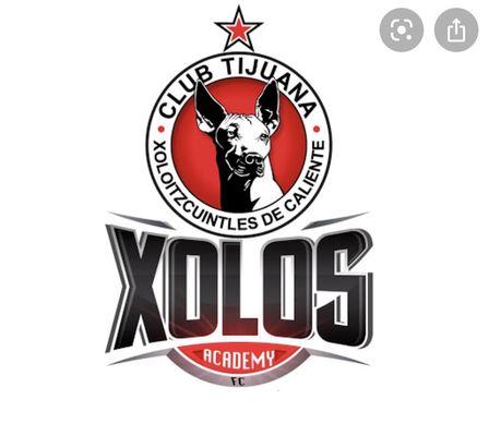 Xolos Academy Logo