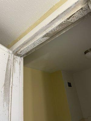 Mildew mold on bathroom door frame.