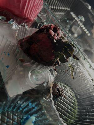 Strawberries with mold, do not buy in sellers