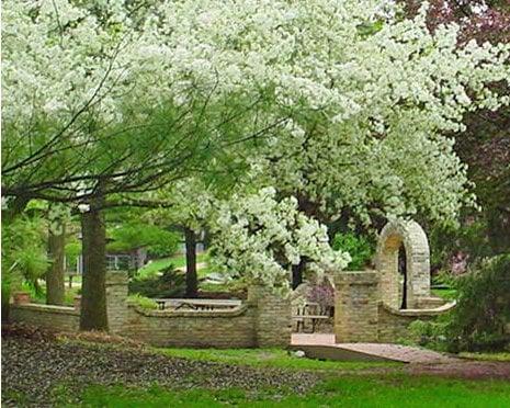 Spring in the courtyard