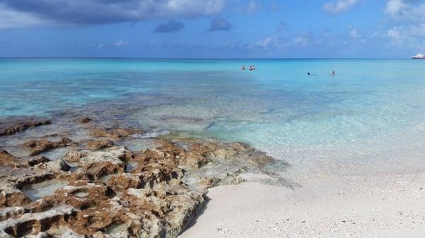 Swimming in Bimini