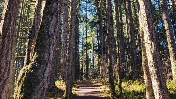 Ridgeline trail views!