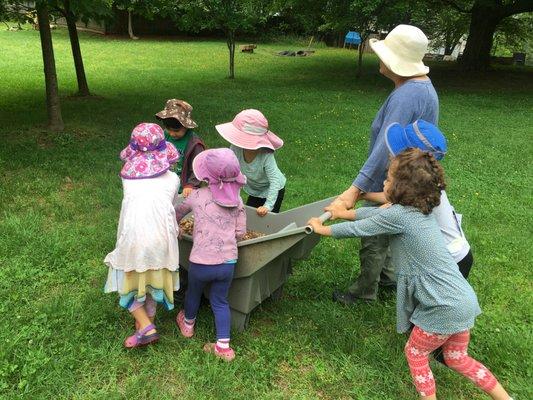 We spend extensive time outdoors daily, in open-ended play, collaborating on projects or working in our huge vegetable gardens.