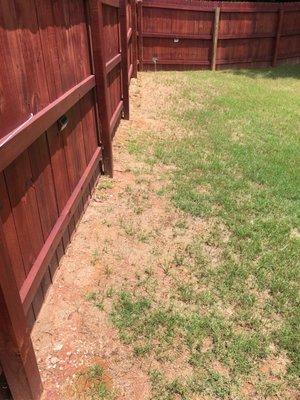 Before and after pics of my backyard.