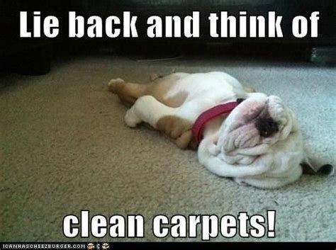 Clean your carpets for Only $89.95 up to 3,000 sq. ft. ($20 more for carpeted stairs)