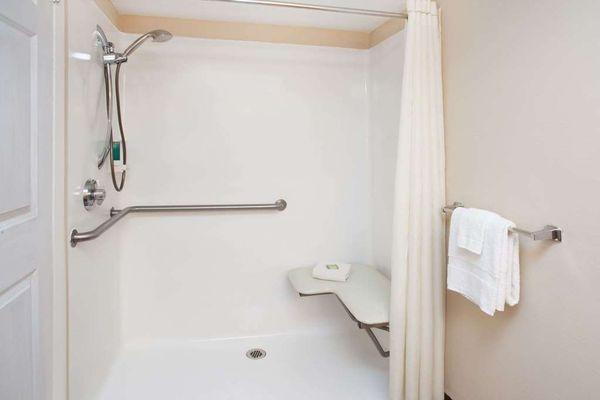 ADA Bathroom With Roll-In Shower