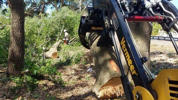 Our mini skid with the log grapple can access tight spaces and carry out heavy loads.