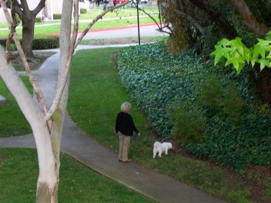 This Pt Loma Villa lady poops & walks her dog at Mariner's Cove & doesn't pick it up, unless you are watching her.