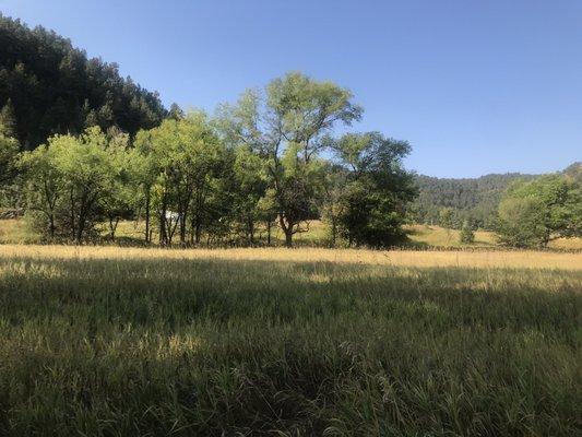 Lovely upper plateau with clamping sites.