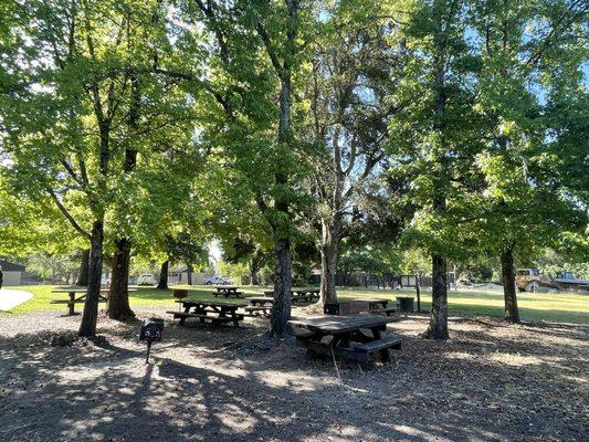 Picnic tables and grill