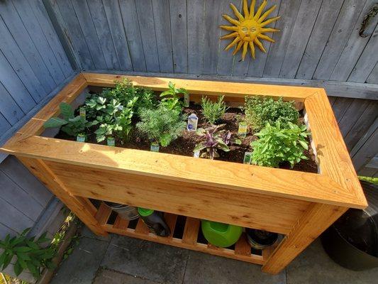 Bonus! He built a small herb garden for the patio too!!!