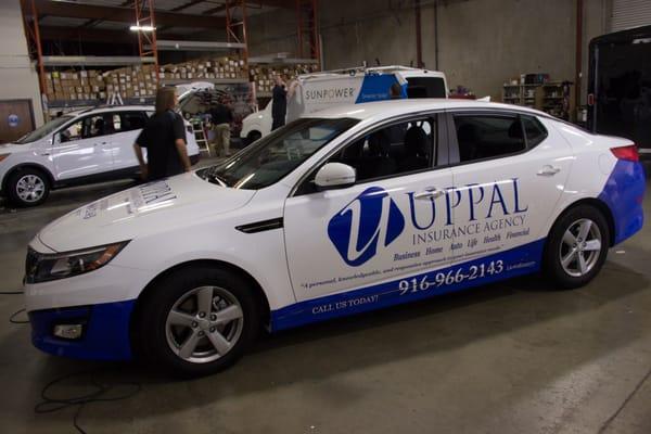 Uppal Insurance Car