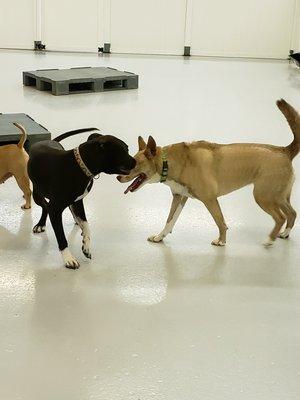 Zeke at Fydoland Daycare