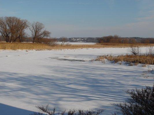 Lions Park in winter