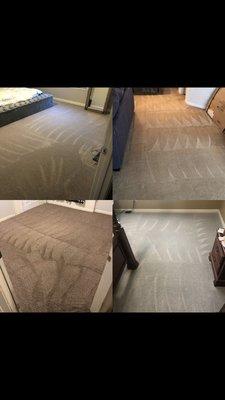 Carpet cleaning, clean, cleaning