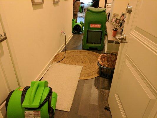 SERVPRO