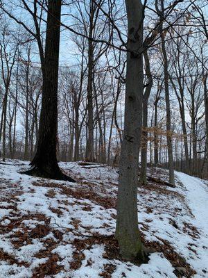 Woldumar Nature Center