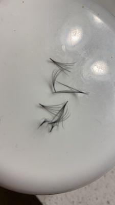 Lashes fell off next day just from one eye