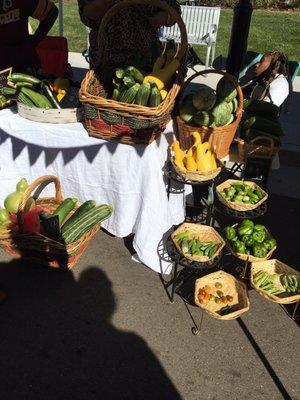 Backyard Farmer - corn, Zuchini, cucumber yum!  Can't wait for dinner tonight!!